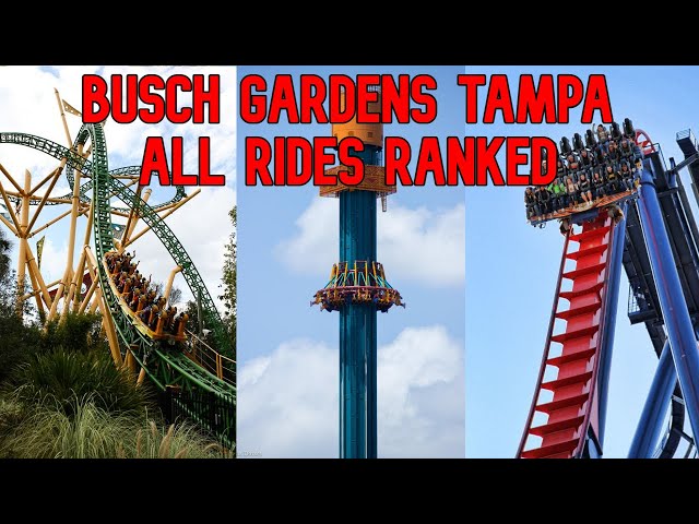 All Rides at Busch Gardens Tampa Bay RANKED