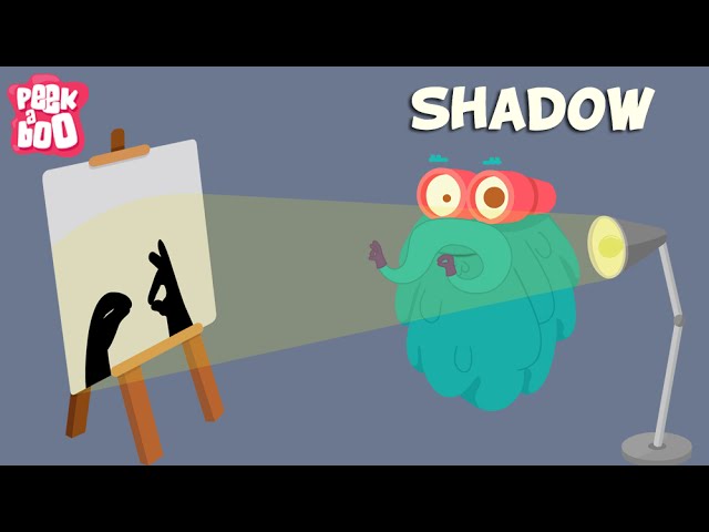 Shadow | The Dr. Binocs Show | Educational Videos For Kids