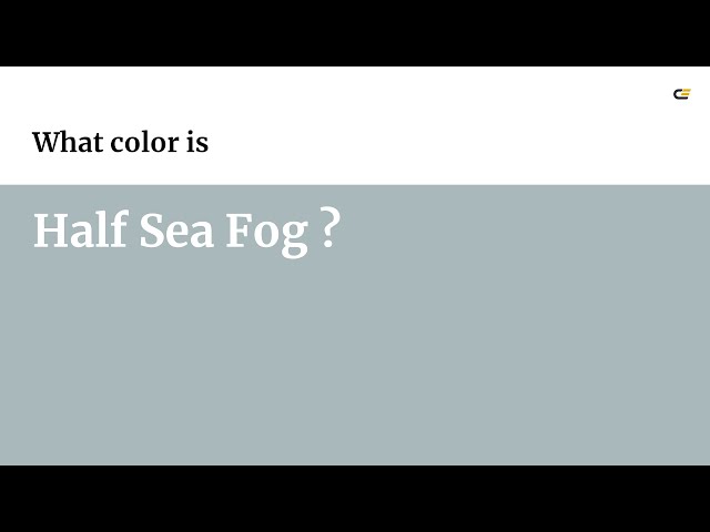 Half Sea Fog color #a9b8bb hex color - Blue color - Warm color a9b8bb
