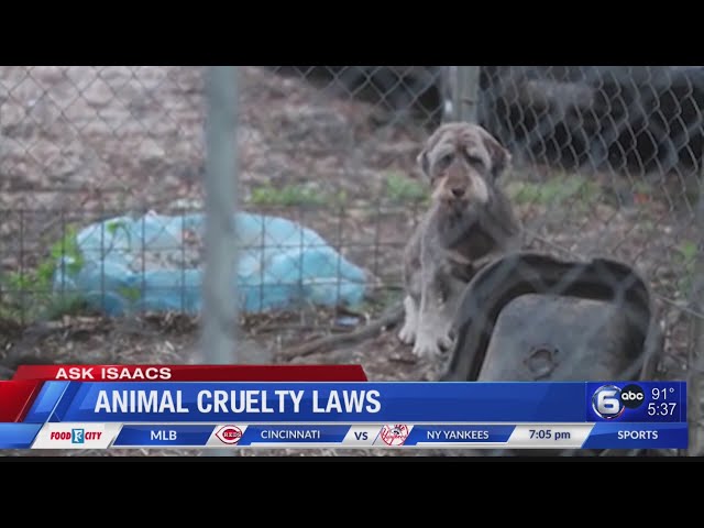 Ask Isaacs: Animal Cruelty Laws