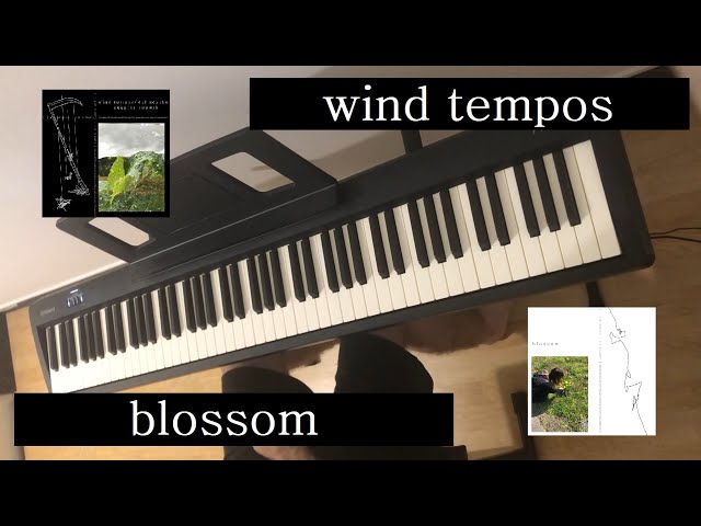 Porter Robinson - Wind Tempos / Blossom (Piano Cover)