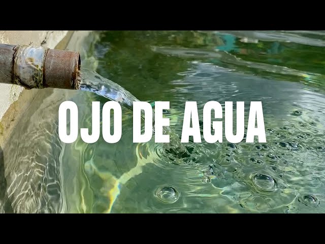 Ojo de agua por Meztli Díaz — (Subtitulado)