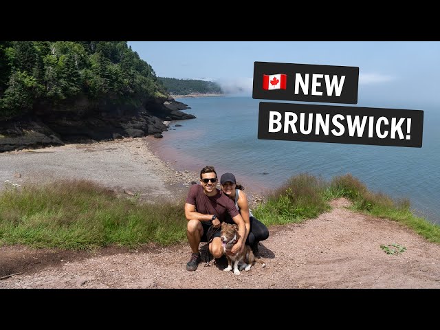 Exploring NEW BRUNSWICK 🇨🇦 | TWO national parks, trying Acadian food, & MORE!