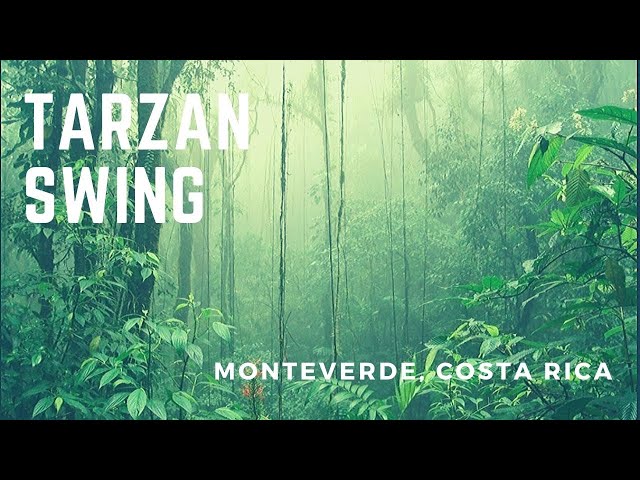 Tarzan Swing in Monteverde