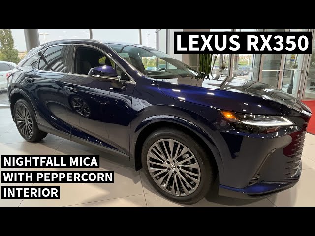 2024 LEXUS RX350h EXECUTIVE/LUXURY FOR US, NIGHTFALL MICA WITH PEPPERCORN INTERIOR 4K VIDEO