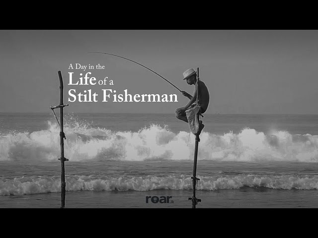 A Day In The Life Of A Stilt Fisherman