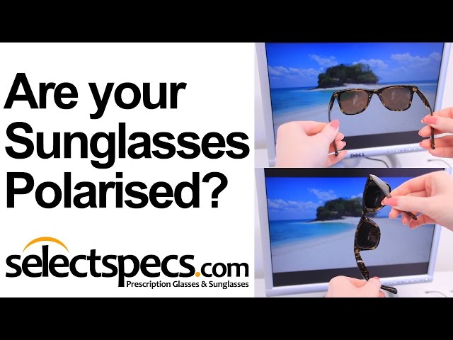 How to Tell if your Sunglasses are Polarised - Selectspecs.com
