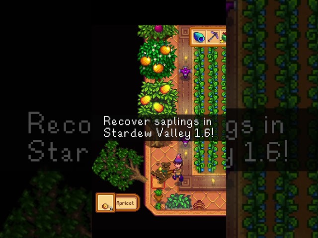 Recover saplings in Stardew Valley 1.6 #stardewvalley #stardew #stardewvalleyupdate #shorts