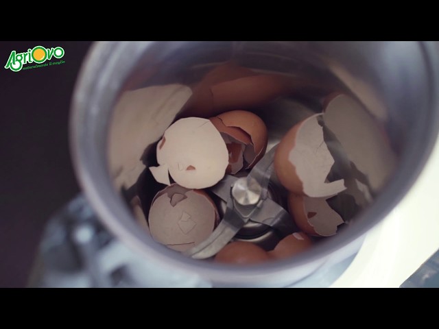 Come riciclare i gusci delle uova per pulire pentole e lavandino