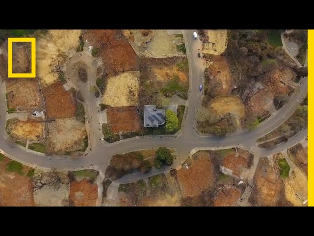 His House Survived a Devastating Wildfire. Now, It's an Island in the Ashes | Short Film Showcase