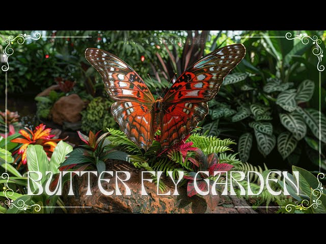 BUTTERFLY GARDEN 🌿 4K Nature Relaxation Film ♫ Soothing music & Rain sounds - #127