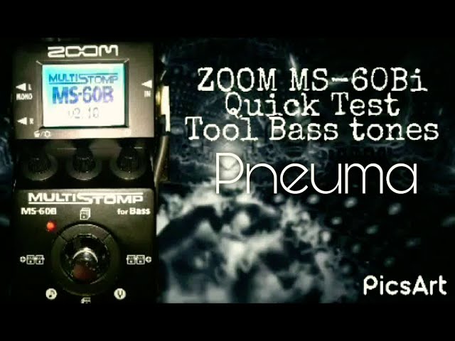 Tool Bass Tones - Pneuma | ZOOM MS-60B Multistomp