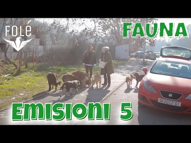Fauna - Emisioni 5
