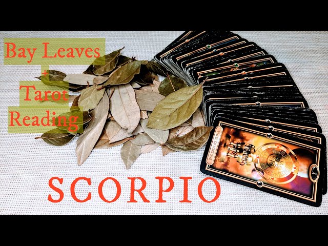 SCORPIO - Justice! This is so Much Bigger & Better Than You Ever Expected! JULY 1st-7th
