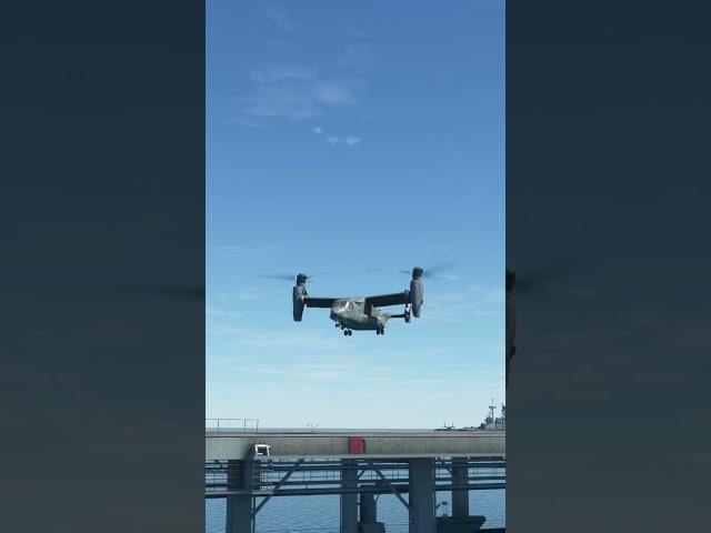 Super Cool Osprey Takeoff View From Ocean!
