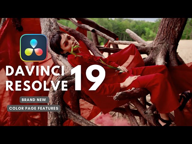 Davinci Resolve 19 is Amazing! Brand New Color Page Features - Quick Tutorial