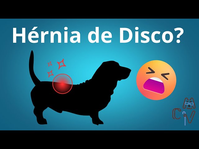 Cachorro com Dor nas Costas: Hérnia de Disco?