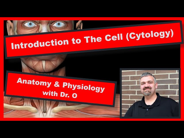 Intro the Cell and Cytology:  Anatomy and Physiology