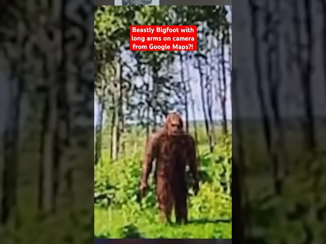 Beastly Bigfoot with Long Arms on Camera From Google Maps?!