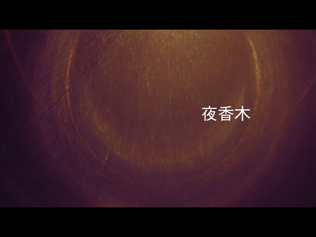 折坂悠太 - 夜香木 (Official Visualizer)