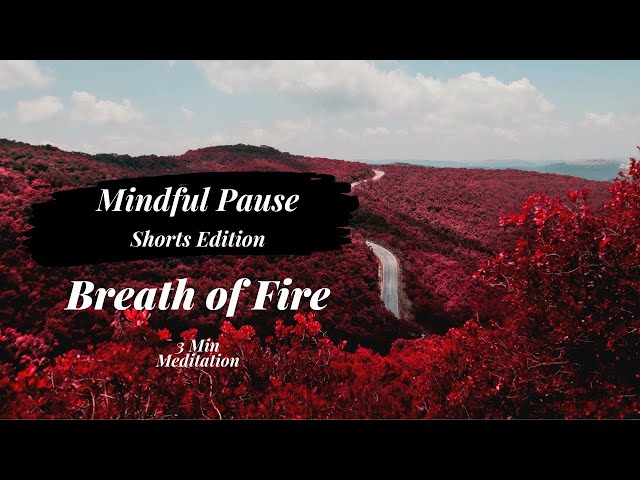 Mindful Pause- Breath of Fire (Kapalabhati Pranayama)