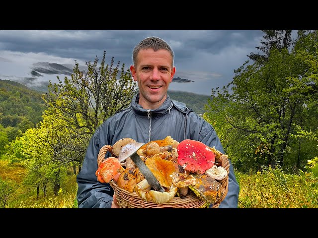 Mushrooms! Picked a big basket of mushrooms! Life in the Ukranian village!