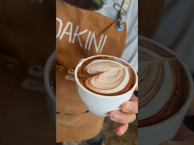 Basic heart latte art#barista #coffee #latte #latteartist #latteeart #coffeeaddict #coffeeaddict