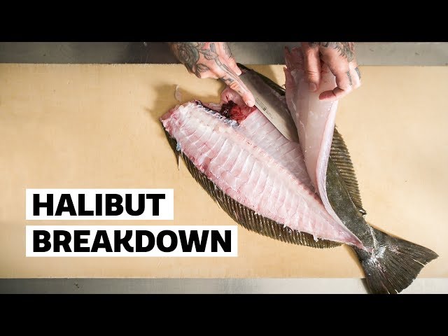 How to Fillet a HALIBUT like a PRO