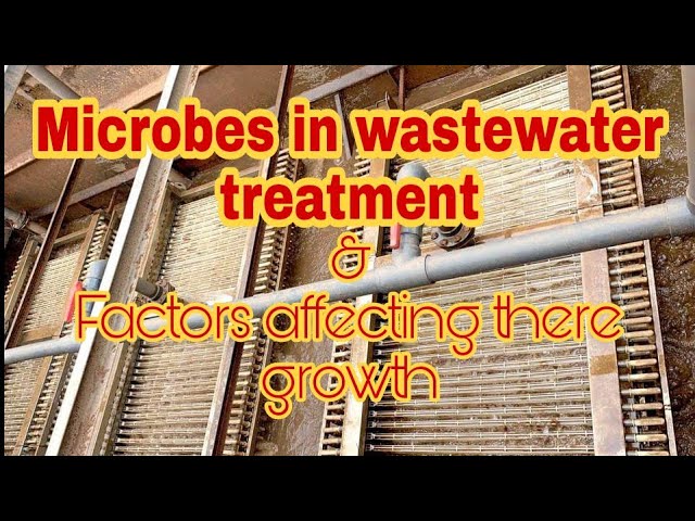 Bacteria in sewage treatment | microbes in wastewater treatment | science classes