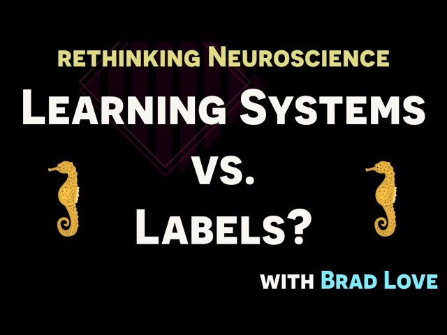Rethinking Neuroscience Clip: General Learning Systems vs Labels?