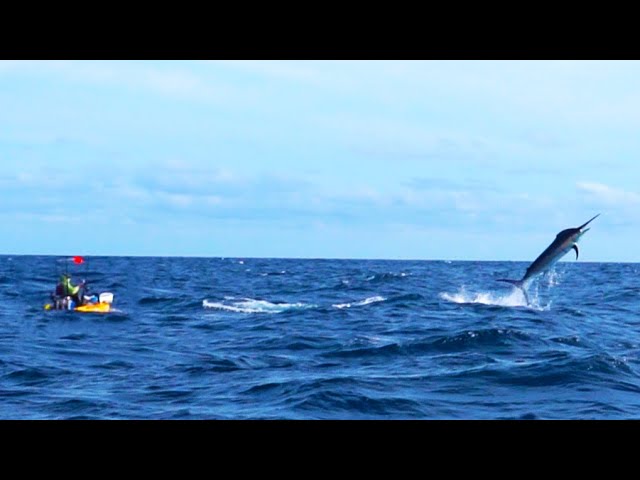 500-Pound Marlin Tows Kayak Fisherman 15 Miles Out to Sea | Panama | Field Trips with Robert Field
