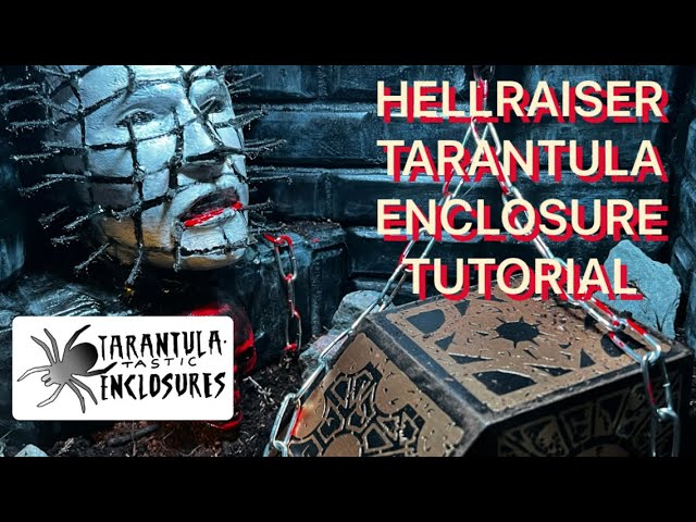 HELLRAISER tarantula enclosure tutorial exo terra enclosure build