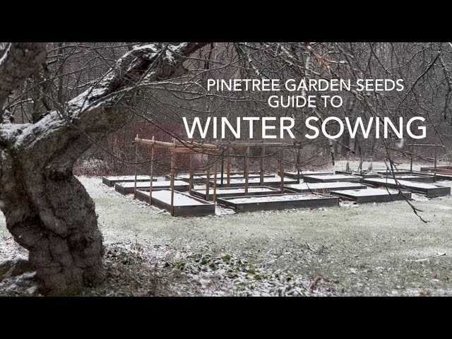 Winter Sowing - With Pinetree Garden Seeds