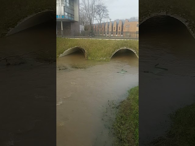 Hildesheim Hochwasser Entspannung am Kupferstrang am Phönixgelände am 30.12.2023