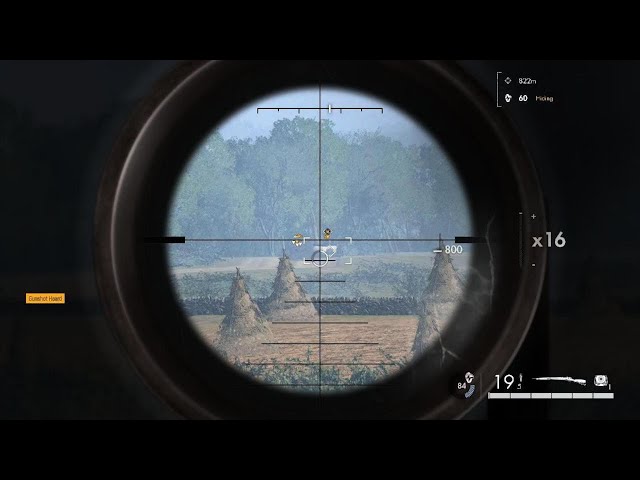 Professional Sniper