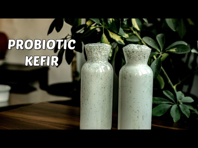 Homemade Probiotic Kefir