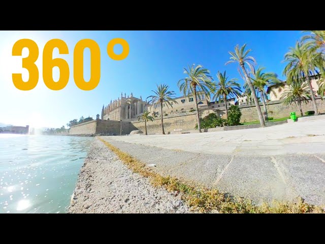 Palma de Mallorca Sehenswürdigkeiten Kathedralen [Google Cardboard 360 video VR]