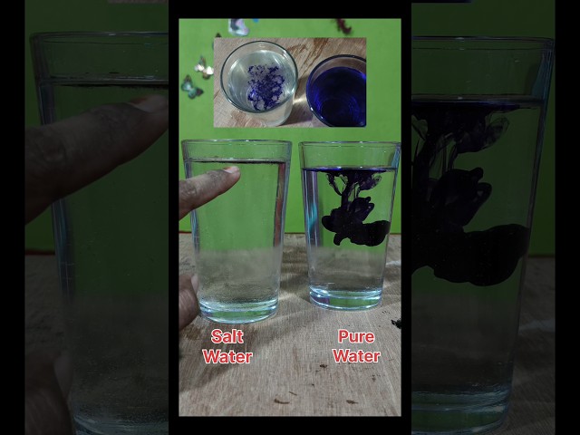 no.54 Salt Water And Pure Water Colour Mix Experiment #viralreels #science #bengali
