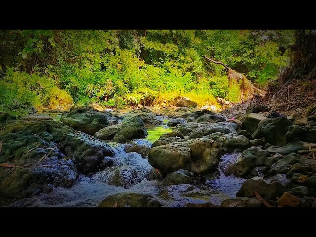 River Sounds for Sleeping | Calming Water Sound Therapy for stress treatment