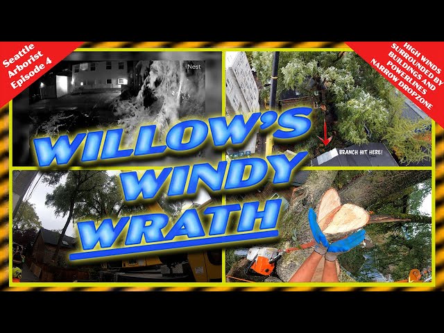 Willow's windy WRATH Part 1