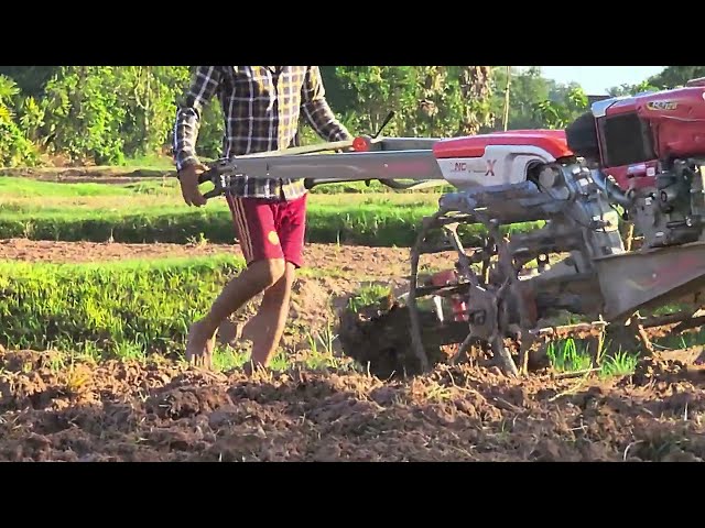 Plowing field in the morning 🌄 #shorts #shortvideo #viral #youtube #youtubeshorts #shortvideo