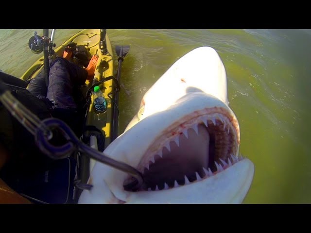 Kayak Fishing: Offshore Trip Gone Wrong - Part 3 | Field Trips with Robert Field