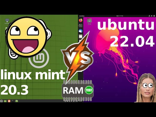 Linux Mint 20.3 vs Ubuntu 22.04: RAM Usage
