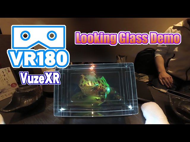 【VR180 Vuze XR】Looking Glass Demo