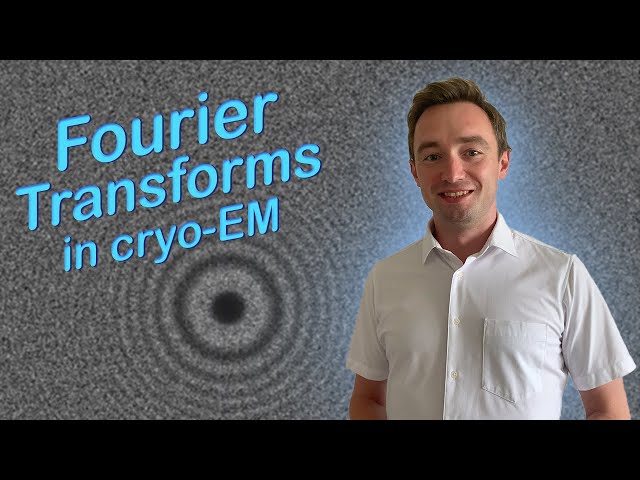 Fourier transforms in cryo-EM | Convolution, Gaussian filters, Fourier Shell Correlation, FFT