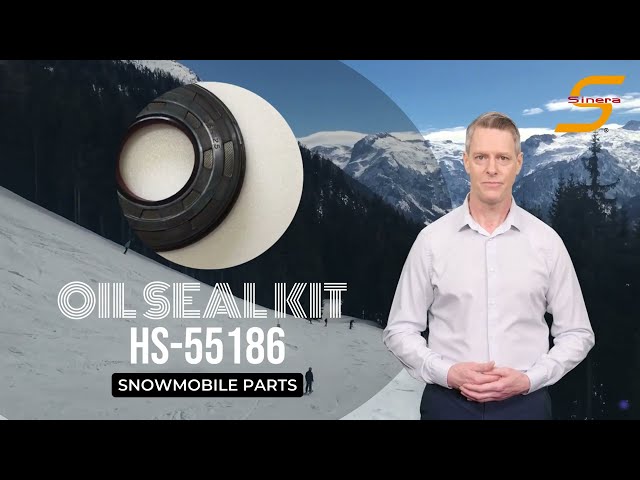 Oil Seal Kit HS-55186 | Polaris Snowmobile Parts