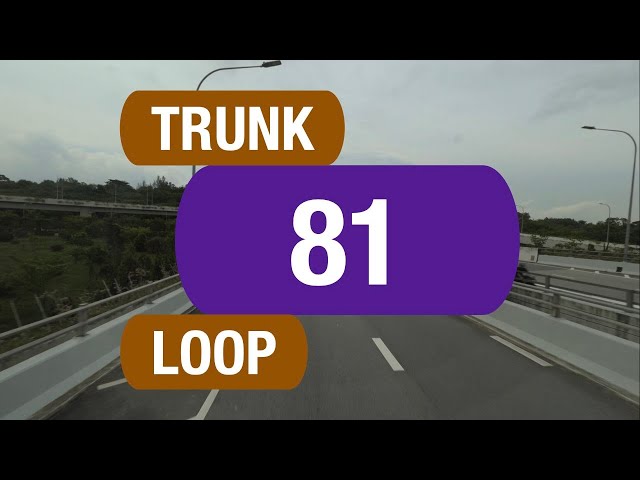 SBS Transit Trunk 81 | Bus Service Route Visual