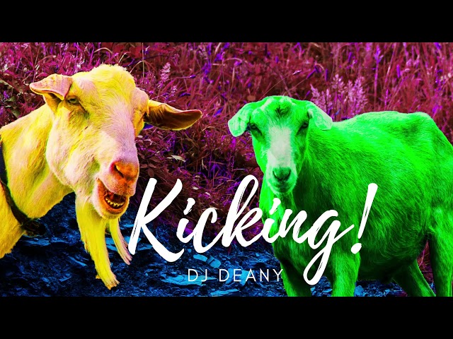 Kicking Mix (Banging Drums, Thumping Bass, Dirty Dubs) - DJ Deany