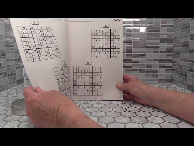 Honest Review of PennyPress Family Sudoku Puzzles