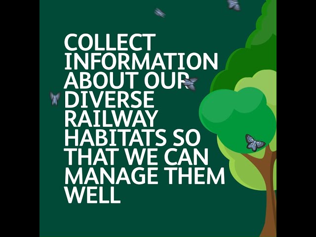 Increasing the biodiversity of our railway